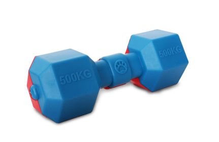 Pet Life Dumbbell Durable Water Floating Chew And Fetch Dog Toy