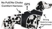 Mini Waterproof Dog Collar GPS Tracking Device Portable Pet Finder NEW Size:M