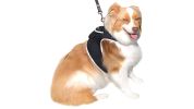 Mini GSM GPS Dog Tracking Systems with Alarm for Pet Wireless Security Size:M