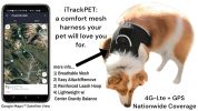 Realtime Anti-Pet Lost Waterproof GSM GPS Pet Tracker Rechargeable NEW Size:XS